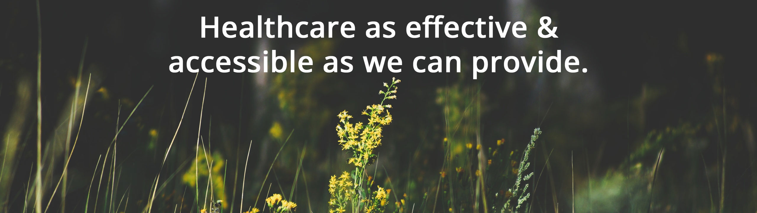 healthcare as effective & accessible as we can provide